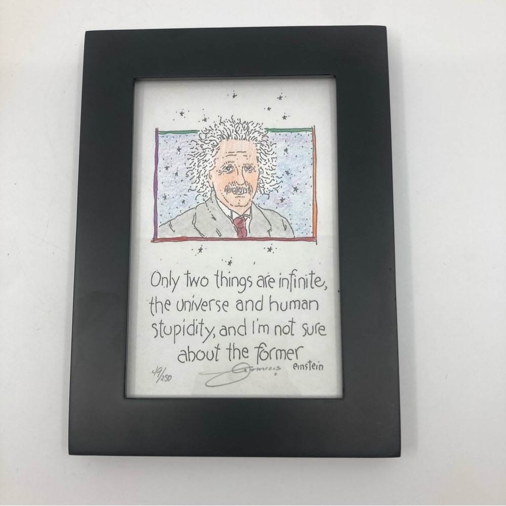 New DeAmicis Studios “Infinite Stupidity” Einstein framed wall art decor